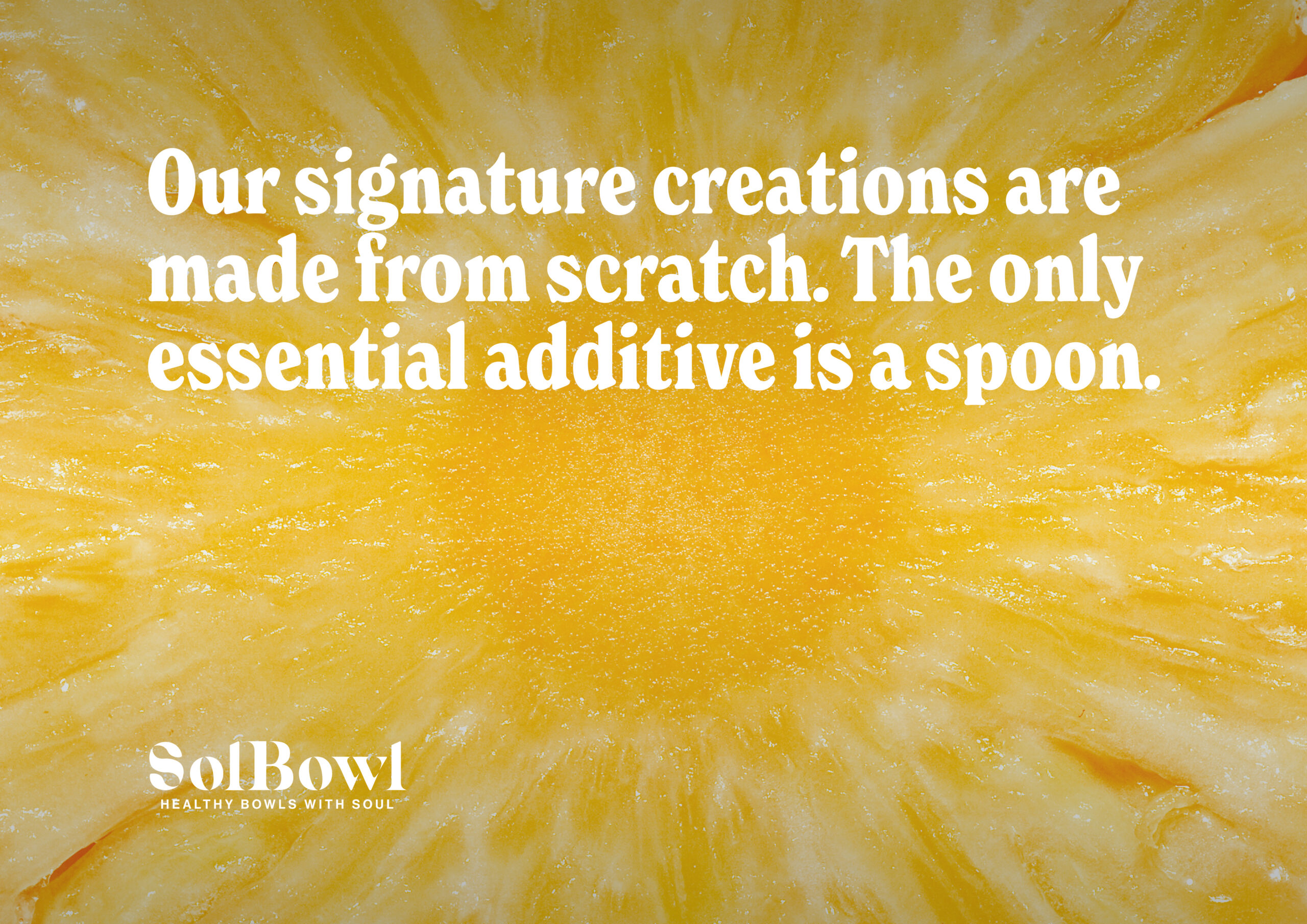 Sol Bowl Case Study10